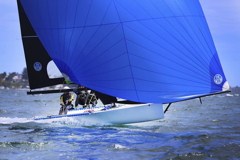 Fluid. photo copyright Mark Rothfield taken at Belmont 16ft Sailing Club and featuring the 16ft Skiff class