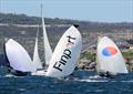 Finport Finance led Yandoo and Andoo from the top mark last Sunday © Frank Quealey