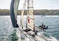 The Lazarus crew make it look easy during the 2024 Giltinan Championship