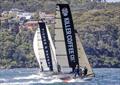 Fisher and Paykel and Killer Coffee Co on Sydney Harbour will both be competing at Lake Garda &copy; SailMedia