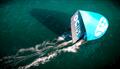 Ocius on her first race day &copy; SailMedia