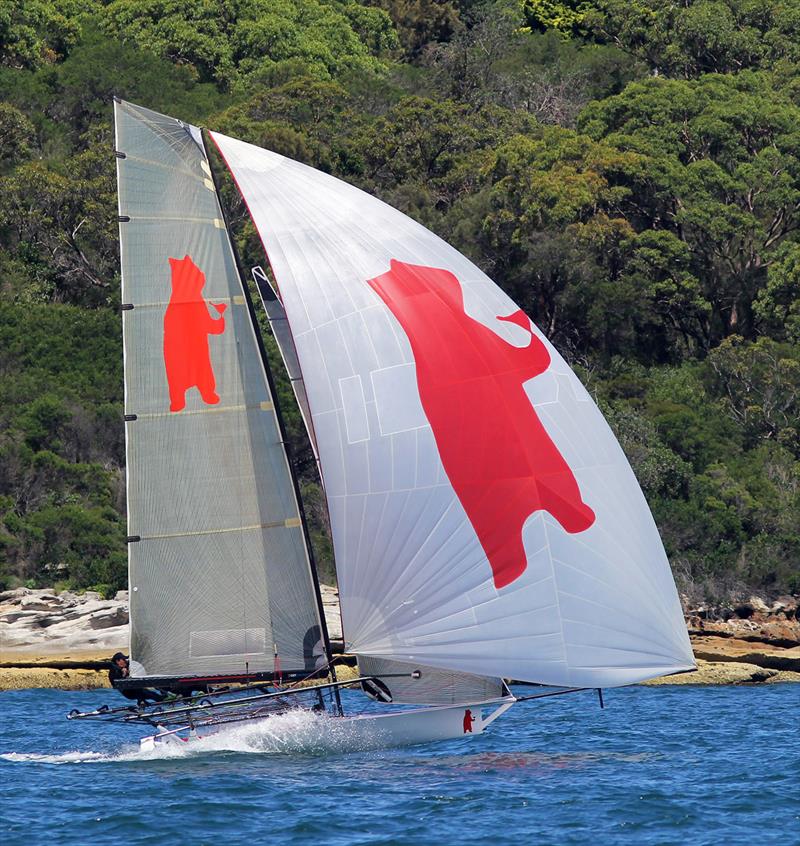 Bird and Bear showed good form during 18ft Skiff NSW Championship Race 5 - photo © Frank Quealey