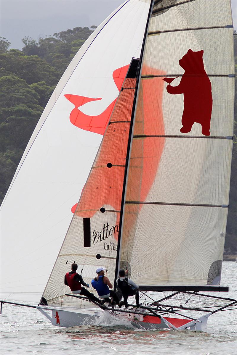 Bird and Bear photo copyright Frank Quealey taken at Australian 18 Footers League and featuring the 18ft Skiff class