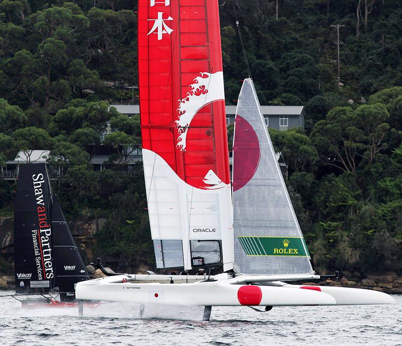 Tim's two teams, Japan GP50 and the 18ft Skiff Shaw and Partners Financial Services seen together on Sydney Harbour (Tim was on Japan GP50 that day) photo copyright Frank Quealey taken at Australian 18 Footers League and featuring the 18ft Skiff class