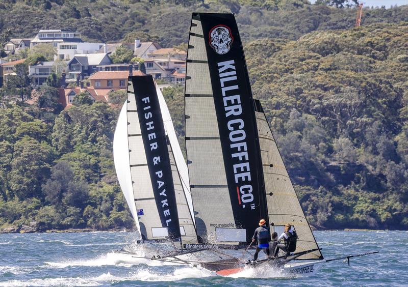 Fisher and Paykel and Killer Coffee Co on Sydney Harbour will both be competing at Lake Garda photo copyright SailMedia taken at Australian 18 Footers League and featuring the 18ft Skiff class