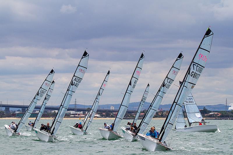 Para World Sailing Championships day 2 photo copyright Teri Dodds taken at Royal Yacht Club of Victoria and featuring the SKUD 18 class