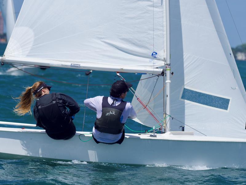 60th Annual Don Q Rum Snipe Regatta photo copyright Coconut Grove Sailing Club taken at Coconut Grove Sailing Club and featuring the Snipe class