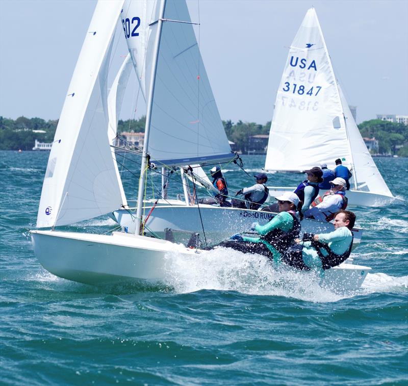 60th Annual Don Q Rum Snipe Regatta photo copyright Coconut Grove Sailing Club taken at Coconut Grove Sailing Club and featuring the Snipe class