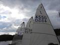 Solo class lines the shore at the Dartmouth Royal Regatta © Caroline Loy