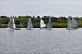 Solo class Southern Area Series at Spinnaker © Nicola Pepe