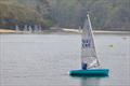 Salcombe YC Sailing Club Series Race 2 © Lucy Burn