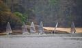 Salcombe YC Sailing Club Series Race 2 © Lucy Burn