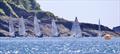 Salcombe Yacht Club Sailing Club Series Race 6 &copy; Lucy Burn