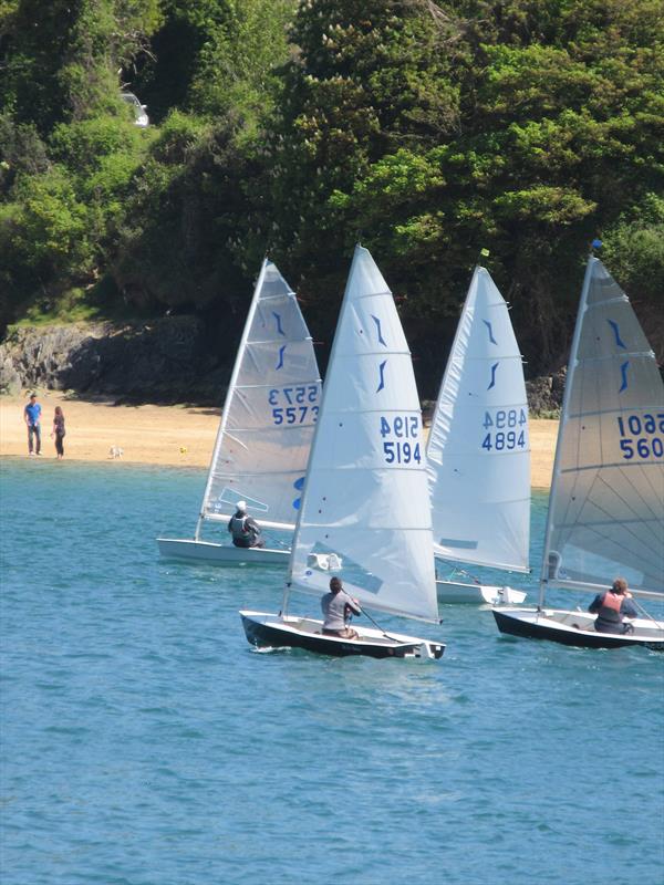 Salcombe Yacht Club Sailing Club Series Race 4 photo copyright David Greening taken at Salcombe Yacht Club and featuring the Solo class