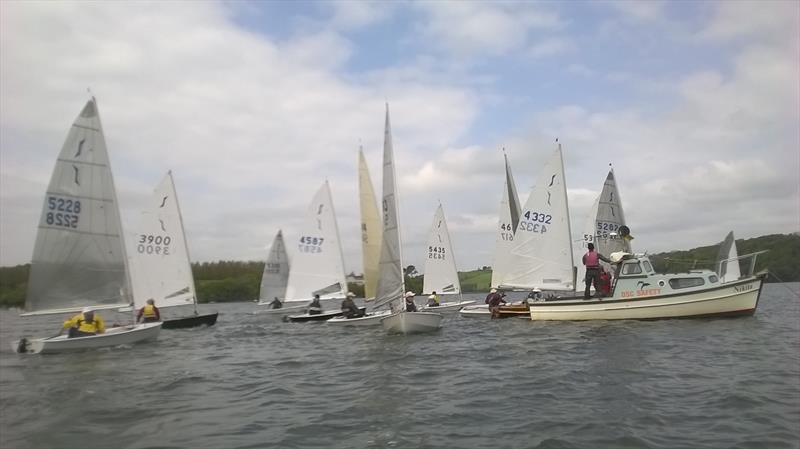 Dittisham Solo Open photo copyright Nick Fisher taken at Dittisham Sailing Club and featuring the Solo class