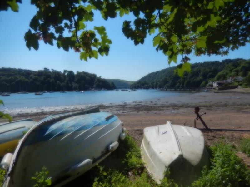 Stunning scenery for the Solos at Dittisham photo copyright Margaret Mackley taken at Dittisham Sailing Club and featuring the Solo class