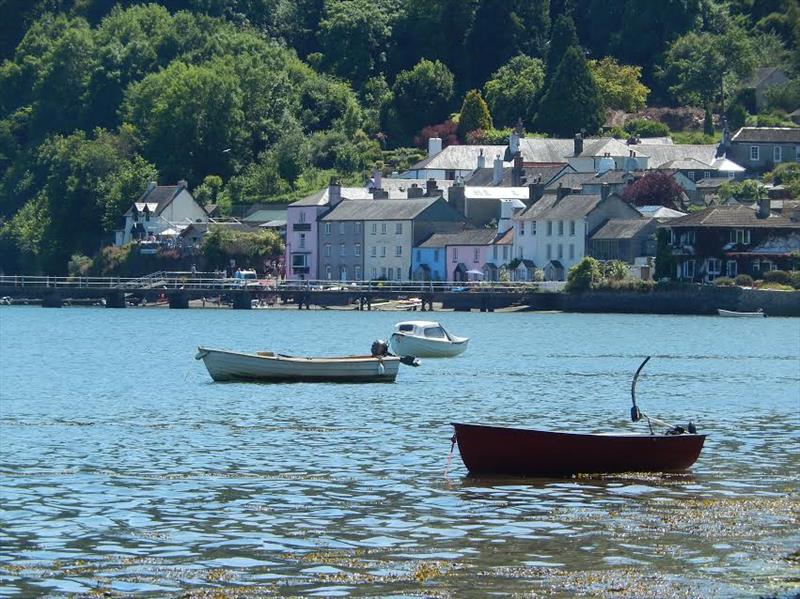 Stunning scenery for the Solos at Dittisham photo copyright Margaret Mackley taken at Dittisham Sailing Club and featuring the Solo class