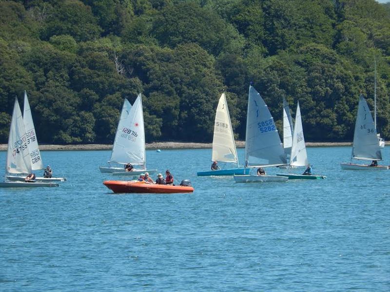 Stunning scenery for the Solos at Dittisham - photo © Margaret Mackley