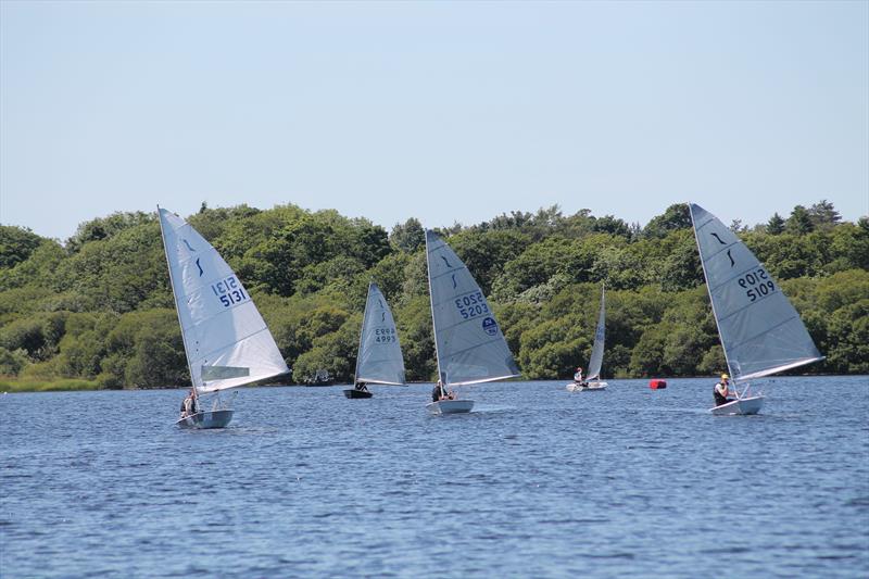 Bassenthwaite Solo Open photo copyright William Carruthers taken at Bassenthwaite Sailing Club and featuring the Solo class