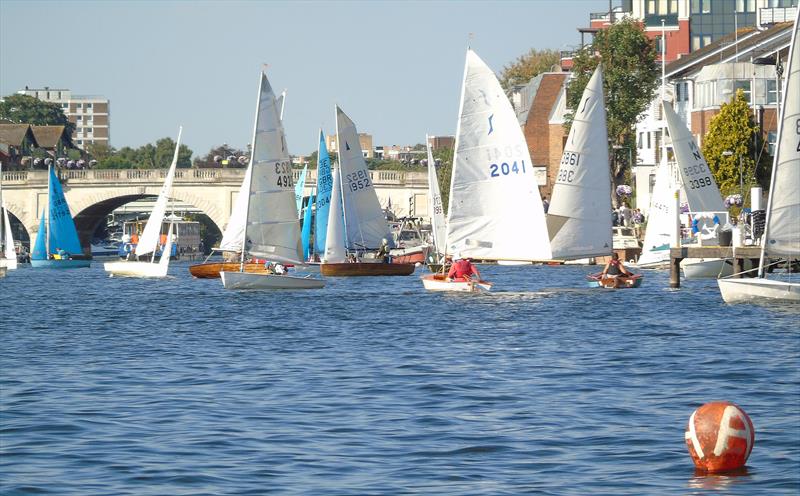 Sails fill the Thames at Kingston on the Saturday of Minima Regatta 2018 photo copyright Rob Mayley taken at Minima Yacht Club and featuring the Solo class