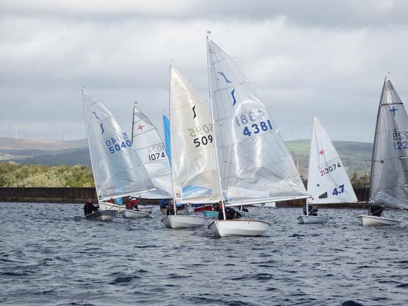 North West Senior Travellers at Elton photo copyright Dave Scott taken at Elton Sailing Club and featuring the Solo class