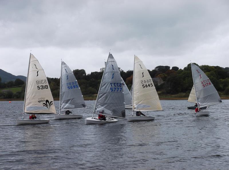 Solos at Ogston photo copyright Philip Wilson taken at Ogston Sailing Club and featuring the Solo class