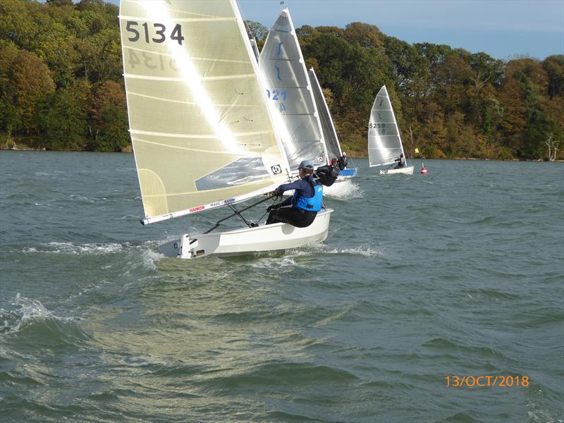 Royal Harwich Solo Open photo copyright Ewen Stamp taken at Royal Harwich Yacht Club and featuring the Solo class