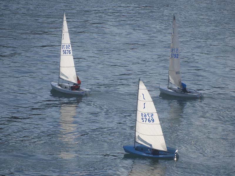 Salcombe Yacht Club Festive Series Boxing Day Race photo copyright Margaret Mackley taken at Salcombe Yacht Club and featuring the Solo class