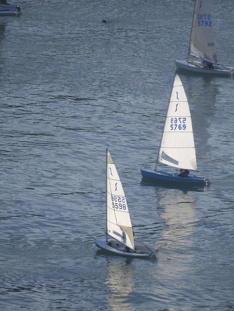 Salcombe Yacht Club Festive Series Boxing Day Race photo copyright Margaret Mackley taken at Salcombe Yacht Club and featuring the Solo class