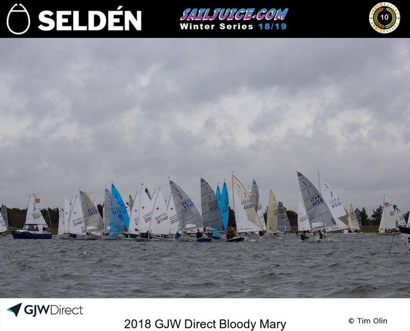 GJW Direct Bloody Mary 2019 photo copyright Tim Olin / www.olinphoto.co.uk taken at Queen Mary Sailing Club and featuring the Solo class