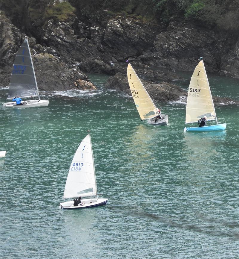 Salcombe Yacht Club Winter Series Race 3 photo copyright Margaret Mackley taken at Salcombe Yacht Club and featuring the Solo class