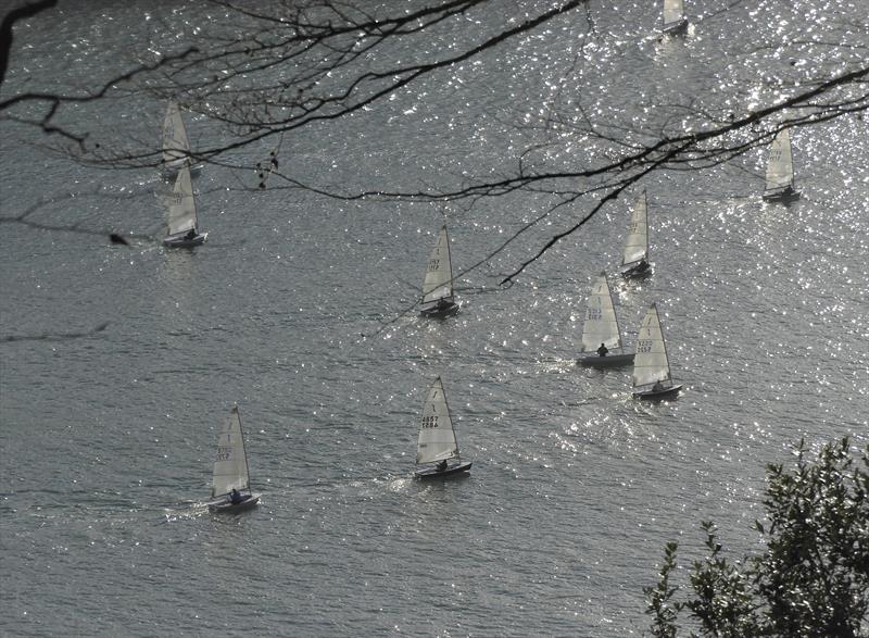 Salcombe Yacht Club Winter Series Race 6 photo copyright Margaret Mackley taken at Salcombe Yacht Club and featuring the Solo class