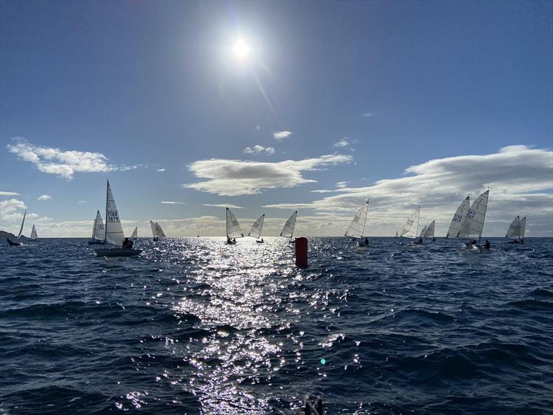 Solo Western Area Open at Salcombe photo copyright Andrew Reed taken at Salcombe Yacht Club and featuring the Solo class