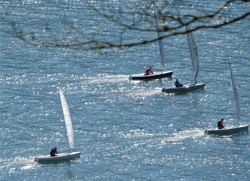 Salcombe Spring Series race 2 photo copyright Margaret Mackley taken at Salcombe Yacht Club and featuring the Solo class