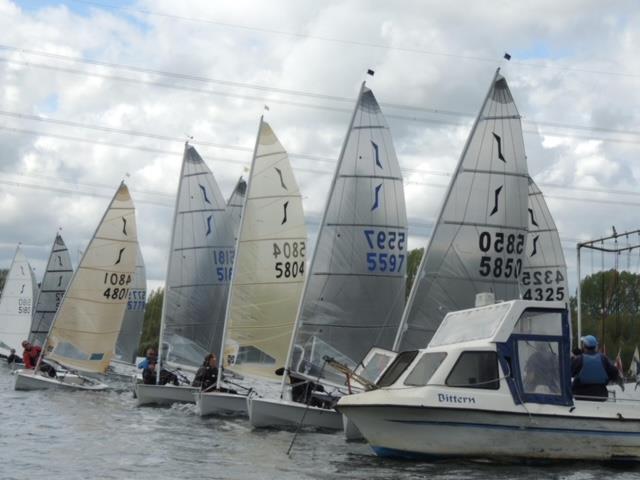 Solos at Fishers Green - photo © David Walford