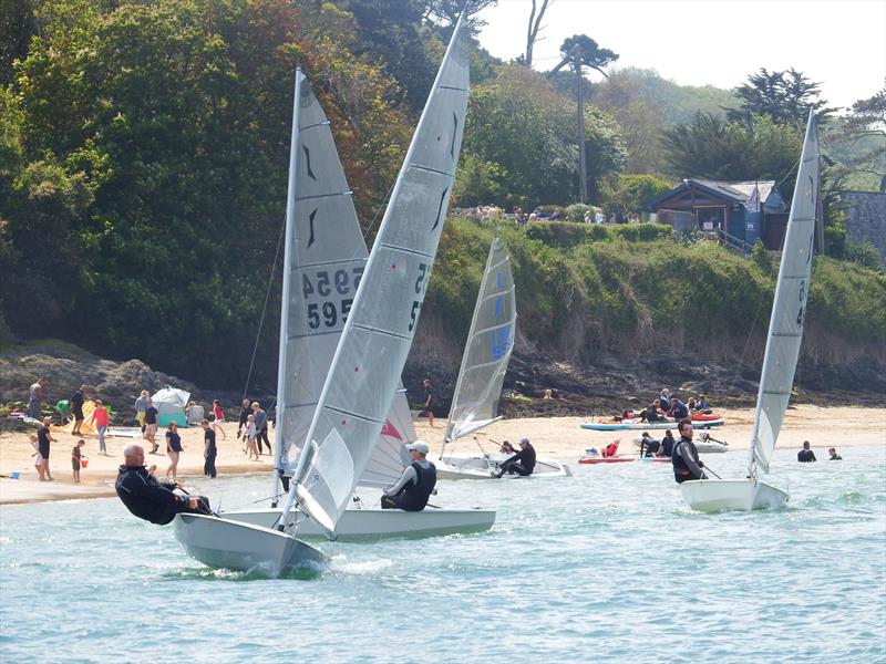 Whitsun Solo Open at Salcombe photo copyright Will Loy taken at Salcombe Yacht Club and featuring the Solo class