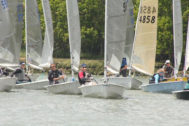 Dell Quay Solo Open photo copyright Mike Dicker taken at Dell Quay Sailing Club and featuring the Solo class