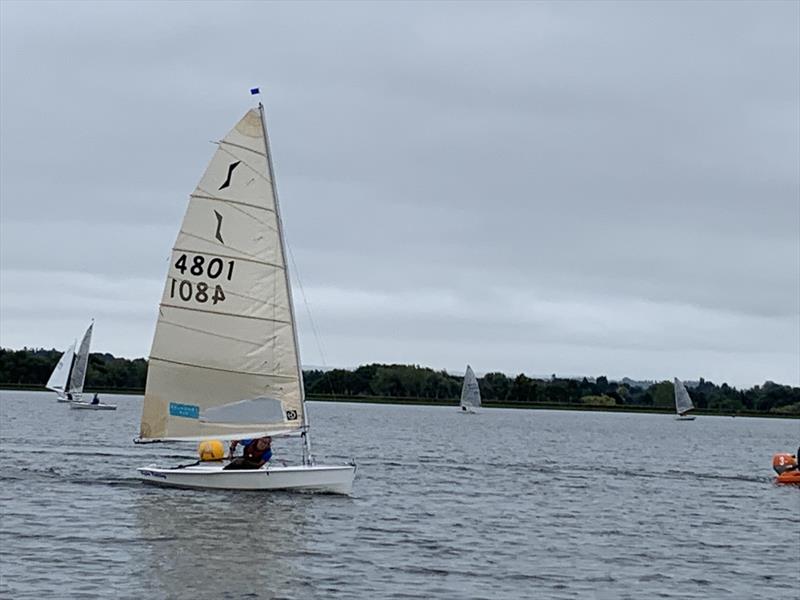 Solos at Island Barn Reservoir photo copyright Nick Marley taken at Island Barn Reservoir Sailing Club and featuring the Solo class