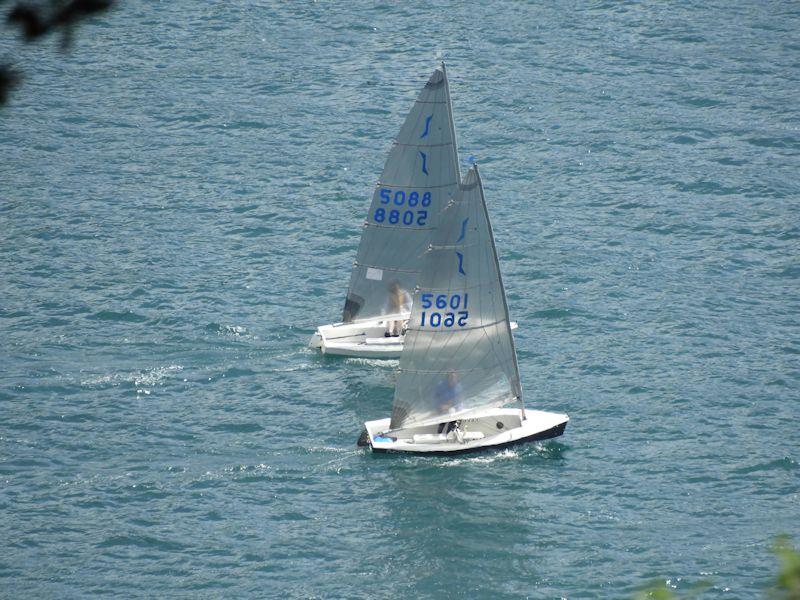 Salcombe Yacht Club Summer Series race 7 photo copyright Margaret Mackley taken at Salcombe Yacht Club and featuring the Solo class