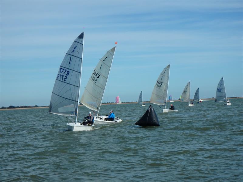 Solo Eastern Area Championships at Brightlingsea photo copyright Shaun Seer taken at Brightlingsea Sailing Club and featuring the Solo class