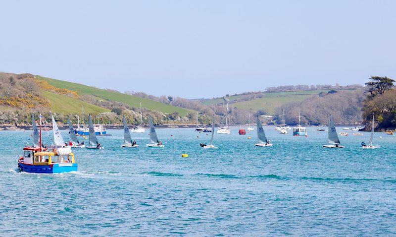 Salcombe Spring Series race 1 photo copyright Lucy Burn taken at Salcombe Yacht Club and featuring the Solo class