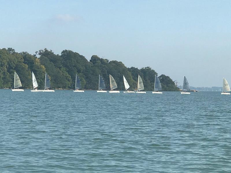 2021 Royal Harwich Yacht Club Solo Open photo copyright Bob and Amanda Portway taken at Royal Harwich Yacht Club and featuring the Solo class