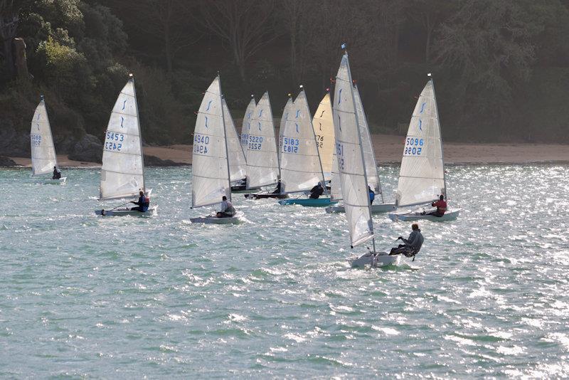 Salcombe Yacht Club Winter Series Race 1 photo copyright Lucy Burn taken at Salcombe Yacht Club and featuring the Solo class