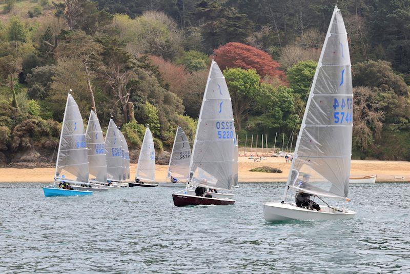 Early May Bank Holiday Open Weekend at Salcombe - photo © Lucy Burn