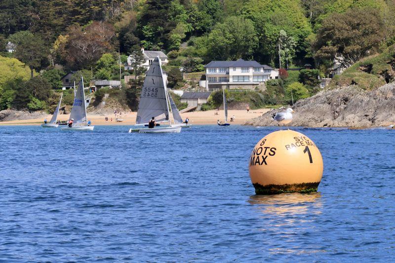 Salcombe YC Sailing Club Series race 5 photo copyright Lucy Burn taken at Salcombe Yacht Club and featuring the Solo class