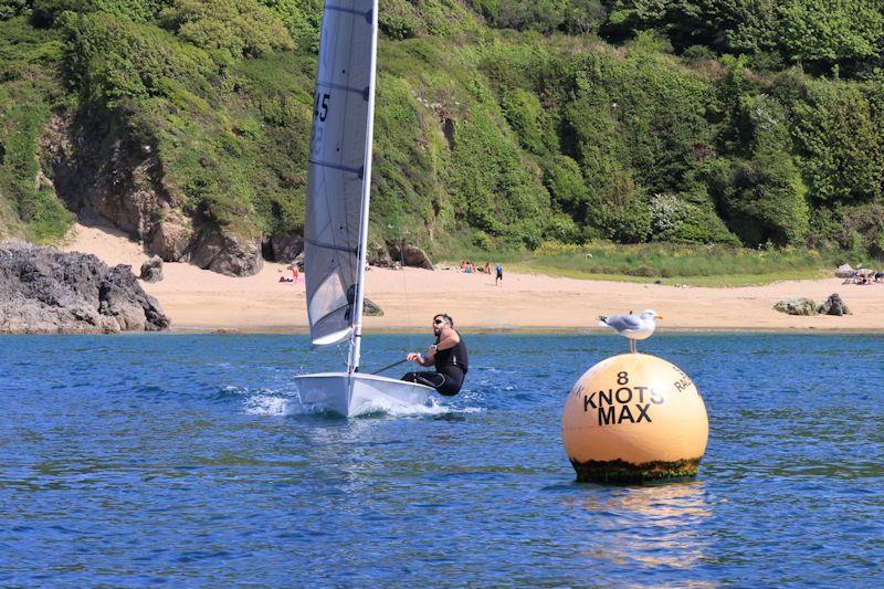 Salcombe YC Sailing Club Series race 5 photo copyright Lucy Burn taken at Salcombe Yacht Club and featuring the Solo class