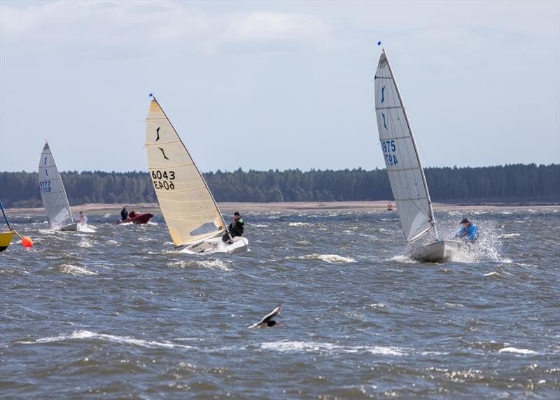 RTYC One of a Kind Regatta photo copyright Tich Summers taken at Royal Tay Yacht Club and featuring the Solo class