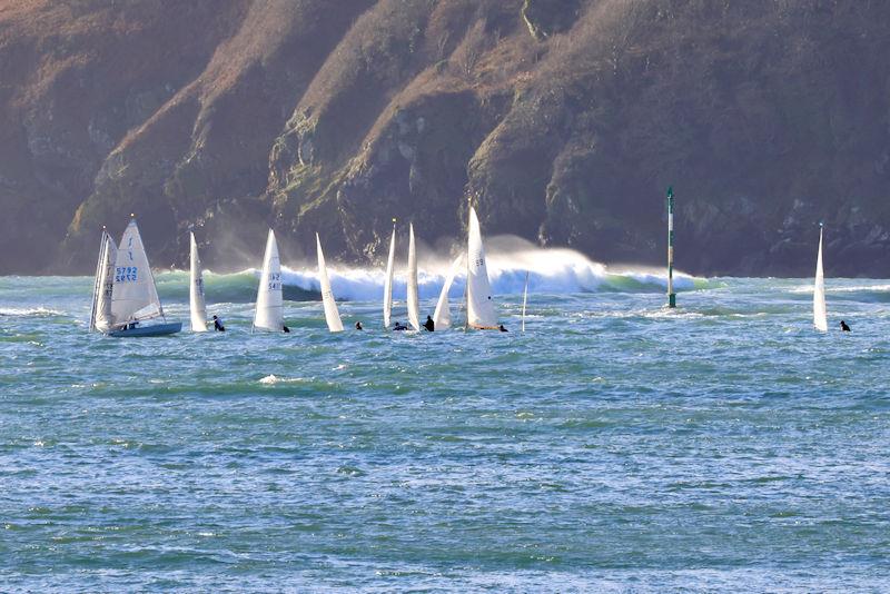 Salcombe Yacht Club Festive Series photo copyright Lucy Burn taken at Salcombe Yacht Club and featuring the Solo class