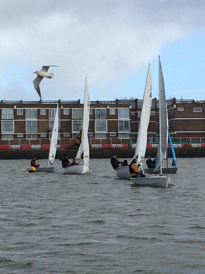 Seagull OCS on the start line on day 2 of the West Kirby Sailing Club Arctic Series photo copyright Liz Potter taken at West Kirby Sailing Club and featuring the Solo class