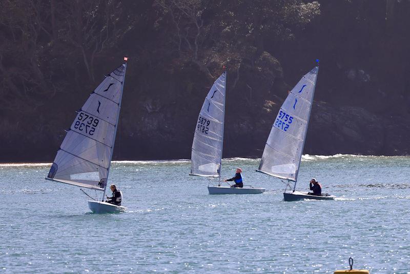 Salcombe Yacht Club Spring Series, Race 2 photo copyright Lucy Burn taken at Salcombe Yacht Club and featuring the Solo class